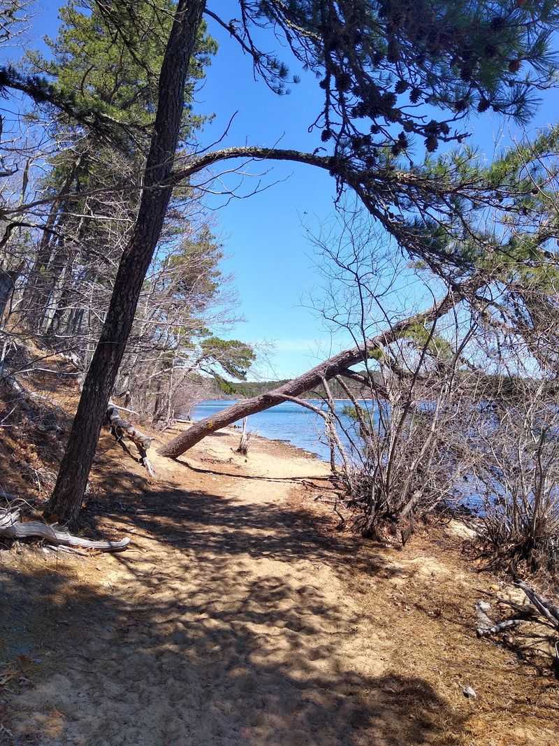 Cliff Pond