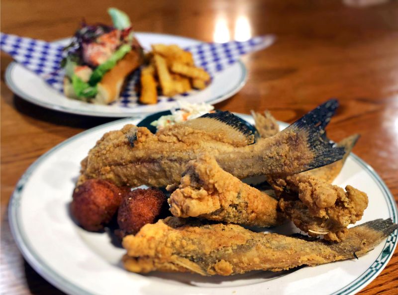 Golden Catfish That Brings People Back
