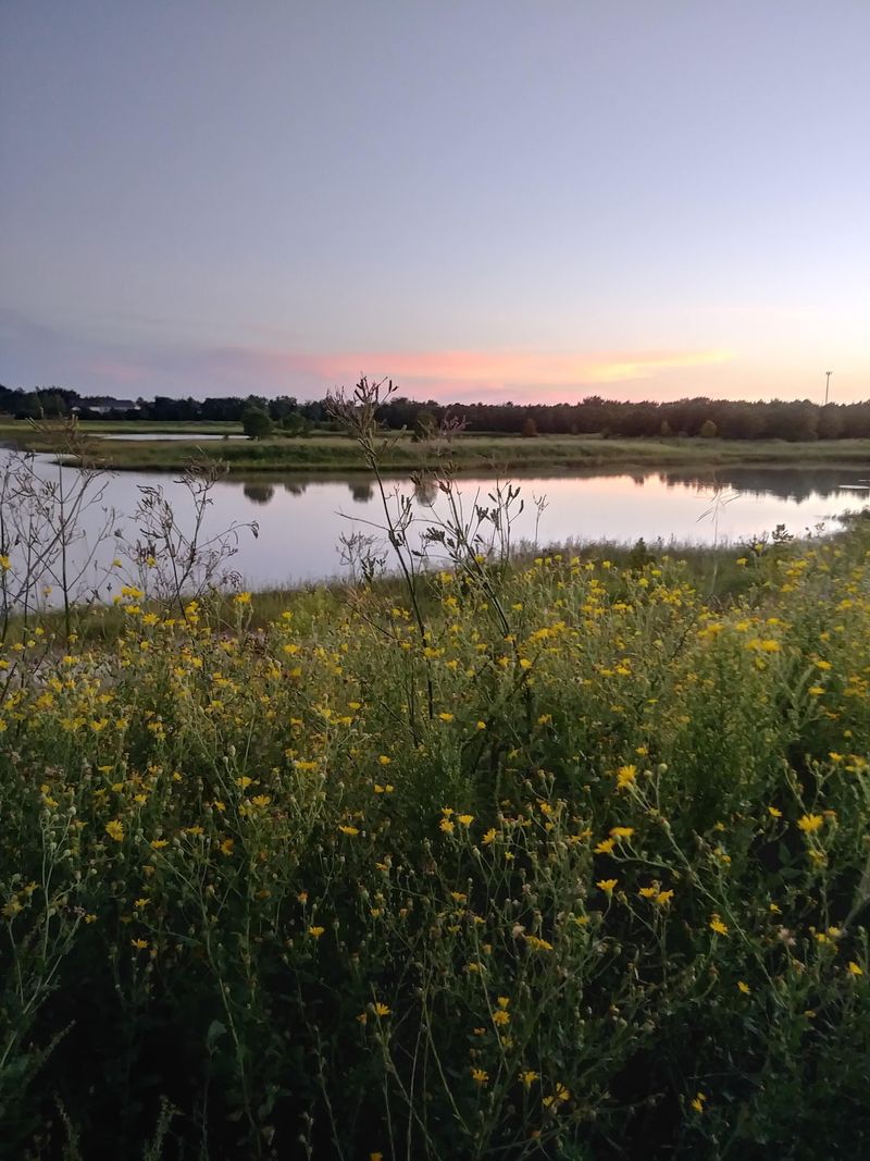 Katy, Harris County