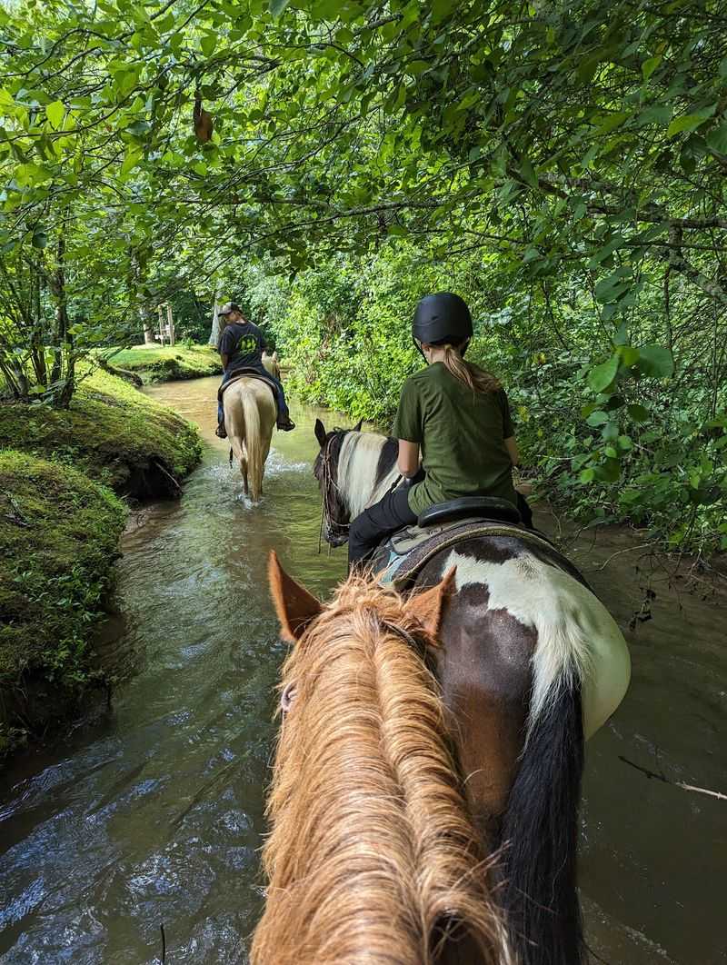 Cross Creeks and Streams on Horseback