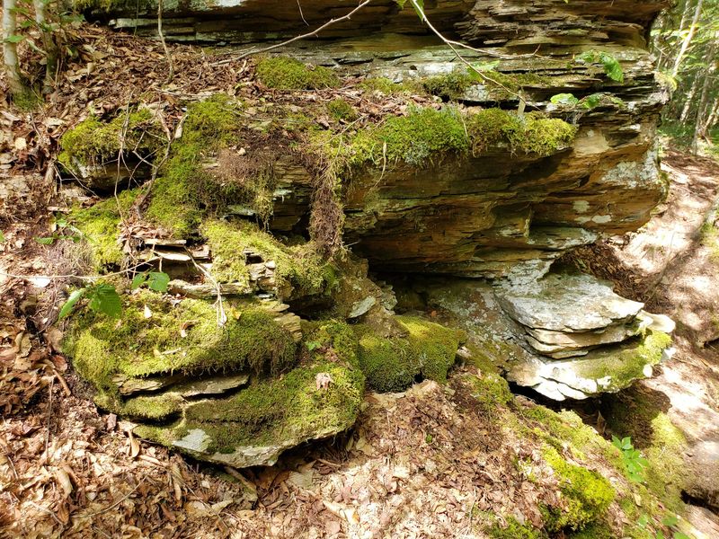 Admire the Rock Formations Along Rock Run