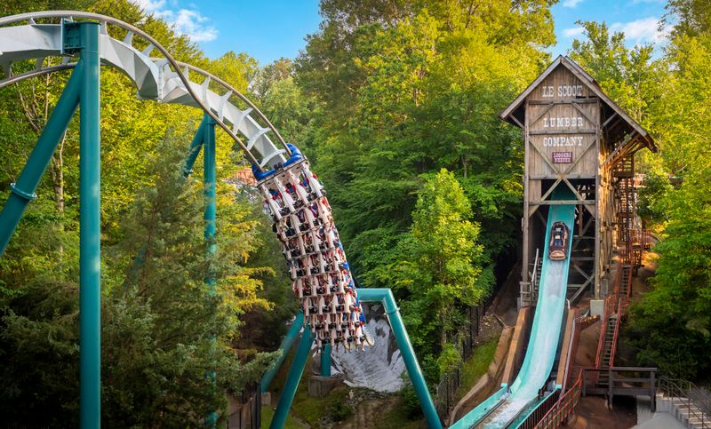 Shows, Animals, and Rest Breaks Between Rides