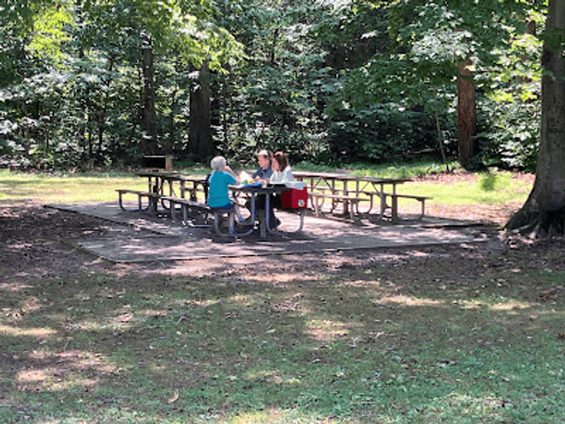 Picnic Breaks Between Woods and Water