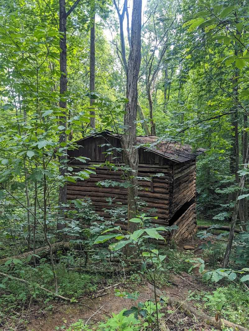 Cozy Cabins and Campsites