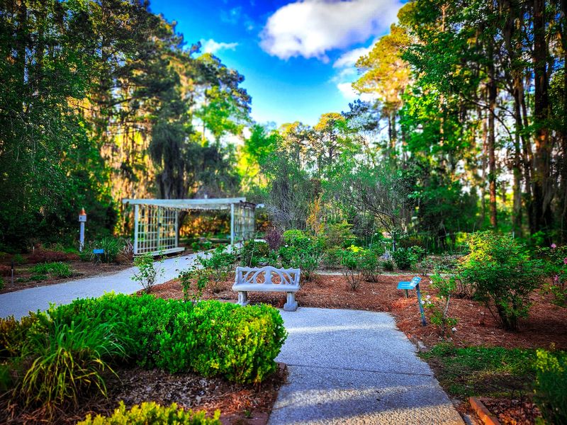 Savannah Botanical Gardens - Savannah
