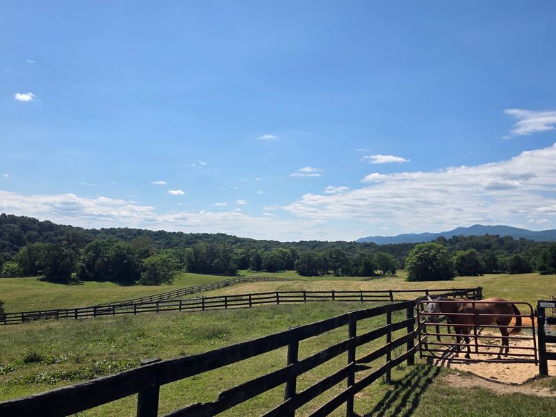 River's Bend Ranch, Stanley