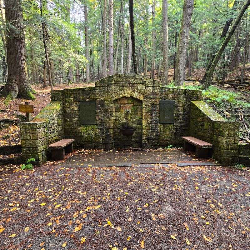 Cook Forest State Park