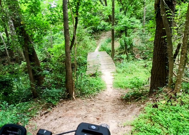 Timber Lane Hike and Bike Trail - Spring