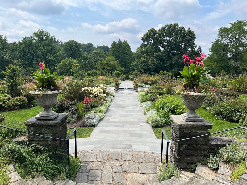 A Hillside Escape With Big Trees At Morris Arboretum & Gardens