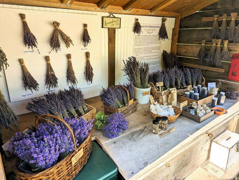 Door County Lavender, Sturgeon Bay, Door County