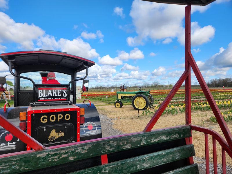 Blake's Orchard & Cider Mill, Armada, Macomb County