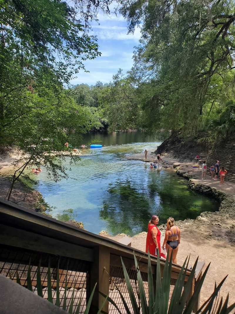 Lafayette Blue Springs State Park - Mayo