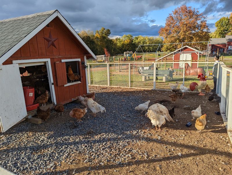 West Maple Farm