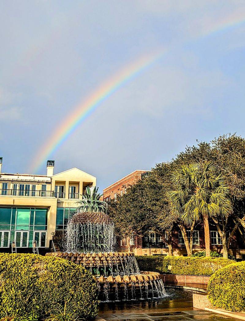 A Lowcountry Memory In One Frame