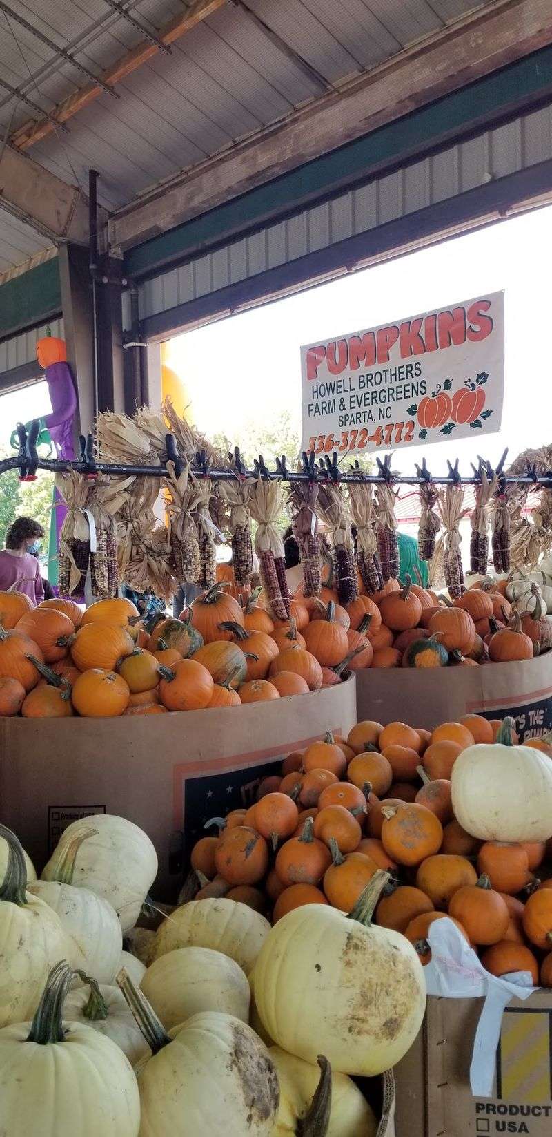 Produce, Plants, and Home Goods Fill the Practical Side