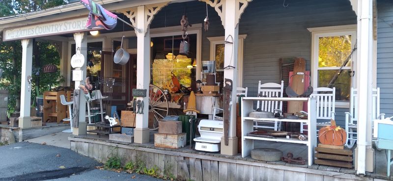 A Browse-All-You-Want Stop With Something for Everyone