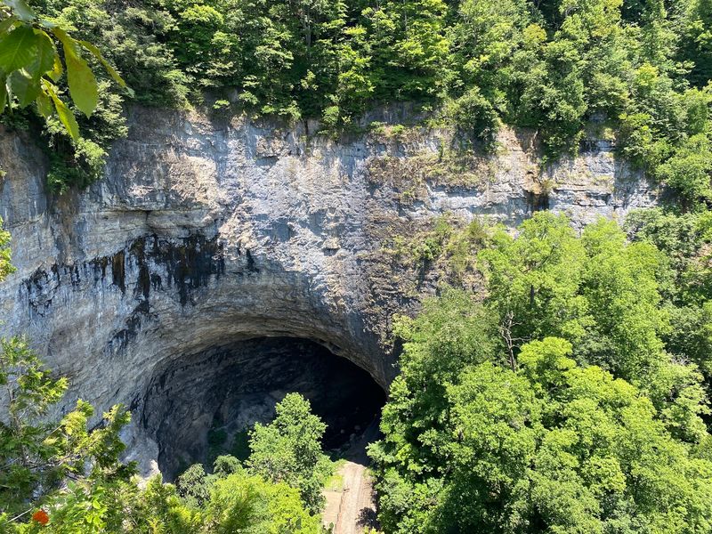 Bolling Cave - Duffield, Natural Tunnel State Park