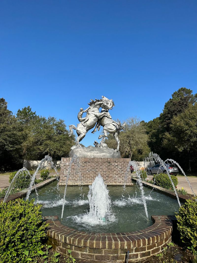 Seven Days of Discovery for One Admission