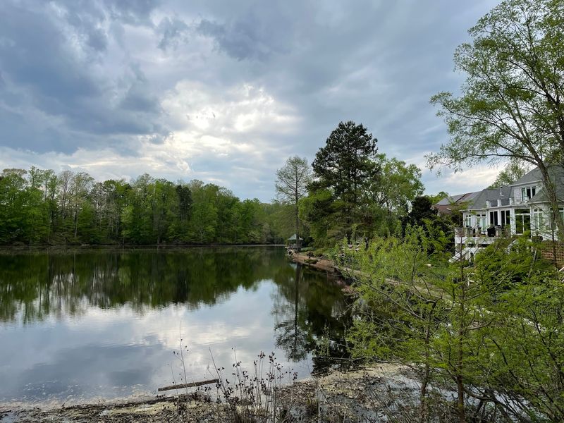 The Bog Garden at Benjamin Park - Greensboro