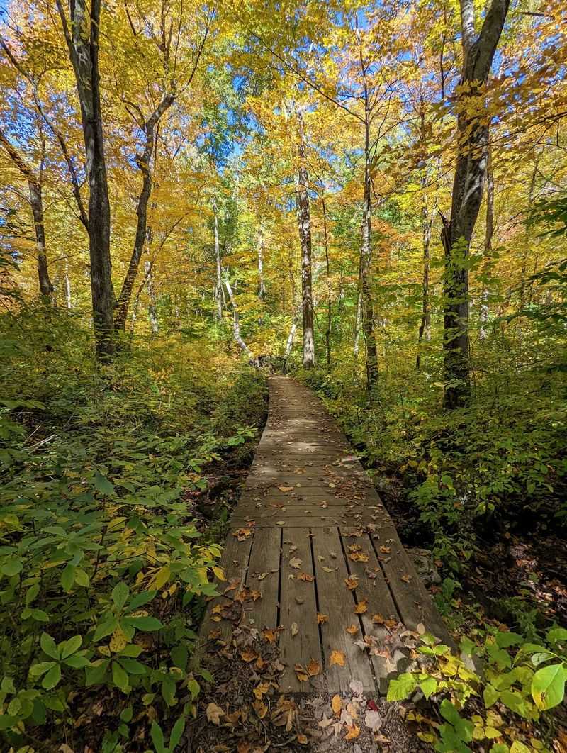 What the Hike Is Like Today