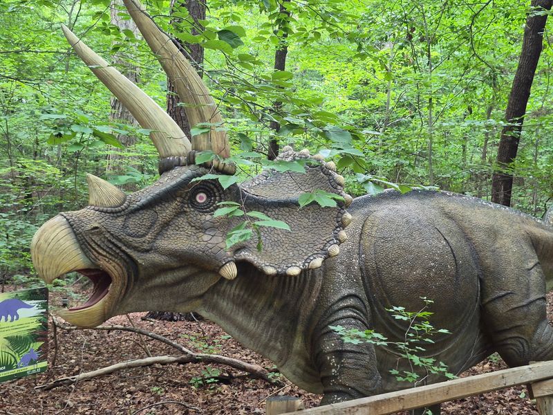 See Triceratops, Stegosaurus and Other Familiar Favorites