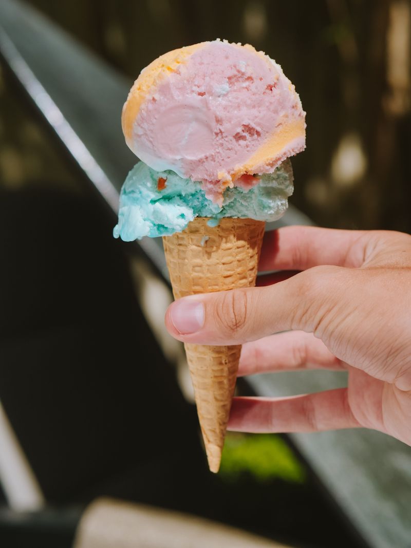 Iowa State Fair Ice Cream Treats