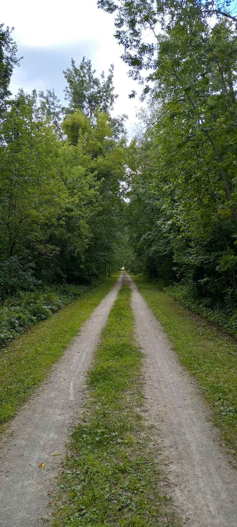 Wiouwash State Trail