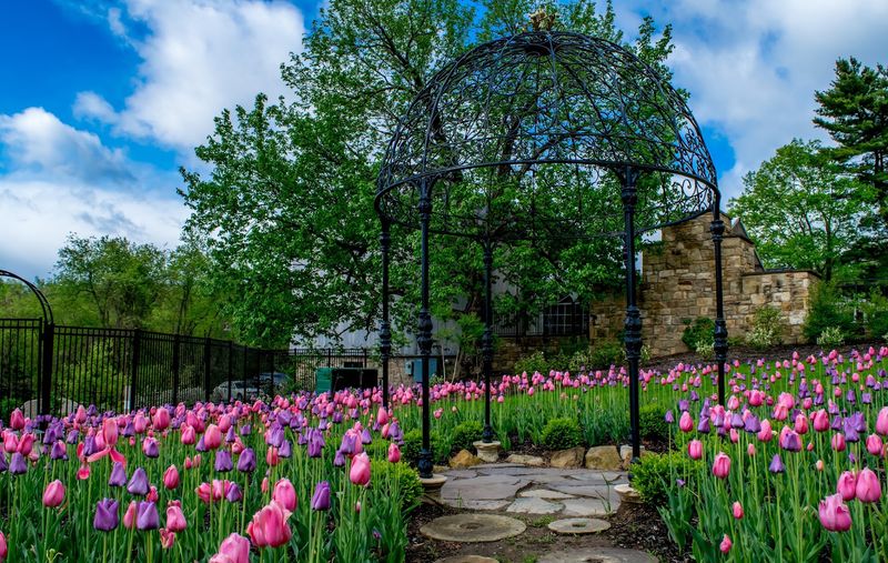 Woodland Quiet And Fresh Starts At Pittsburgh Botanic Garden