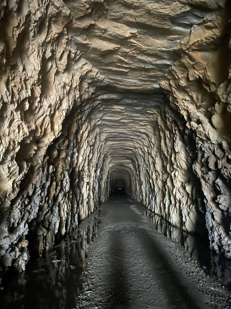 Stumphouse Tunnel - Walhalla