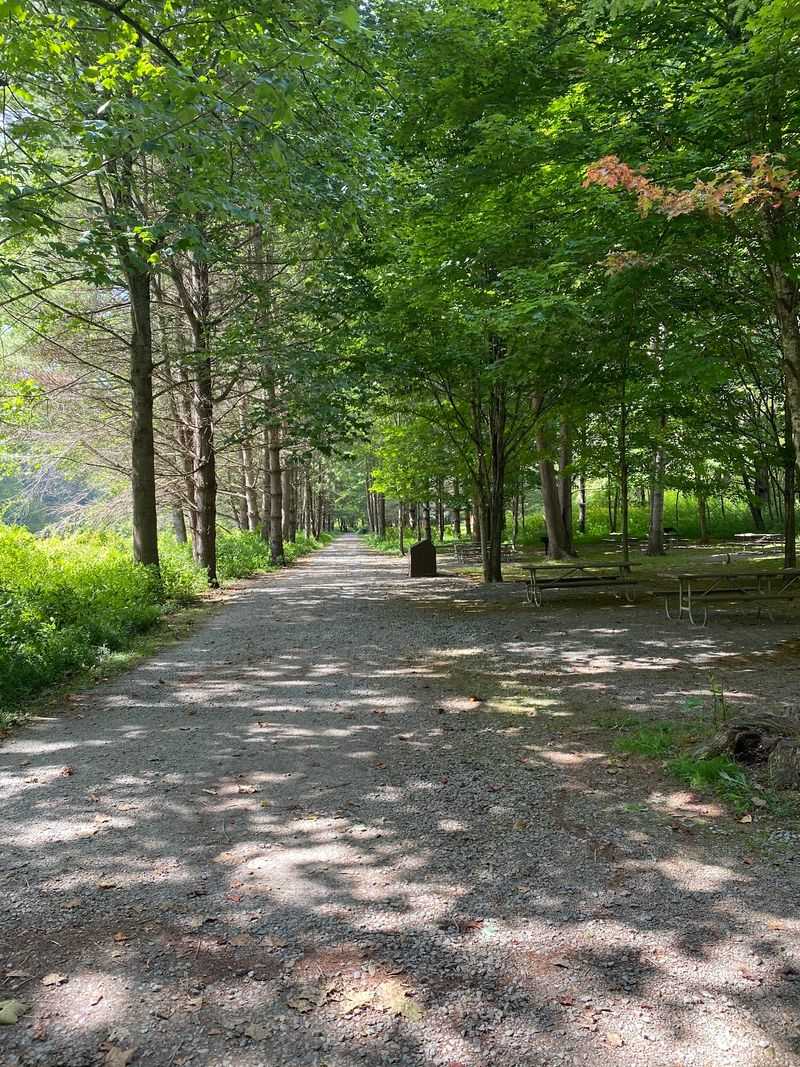 New River State Park (Laurel Springs)