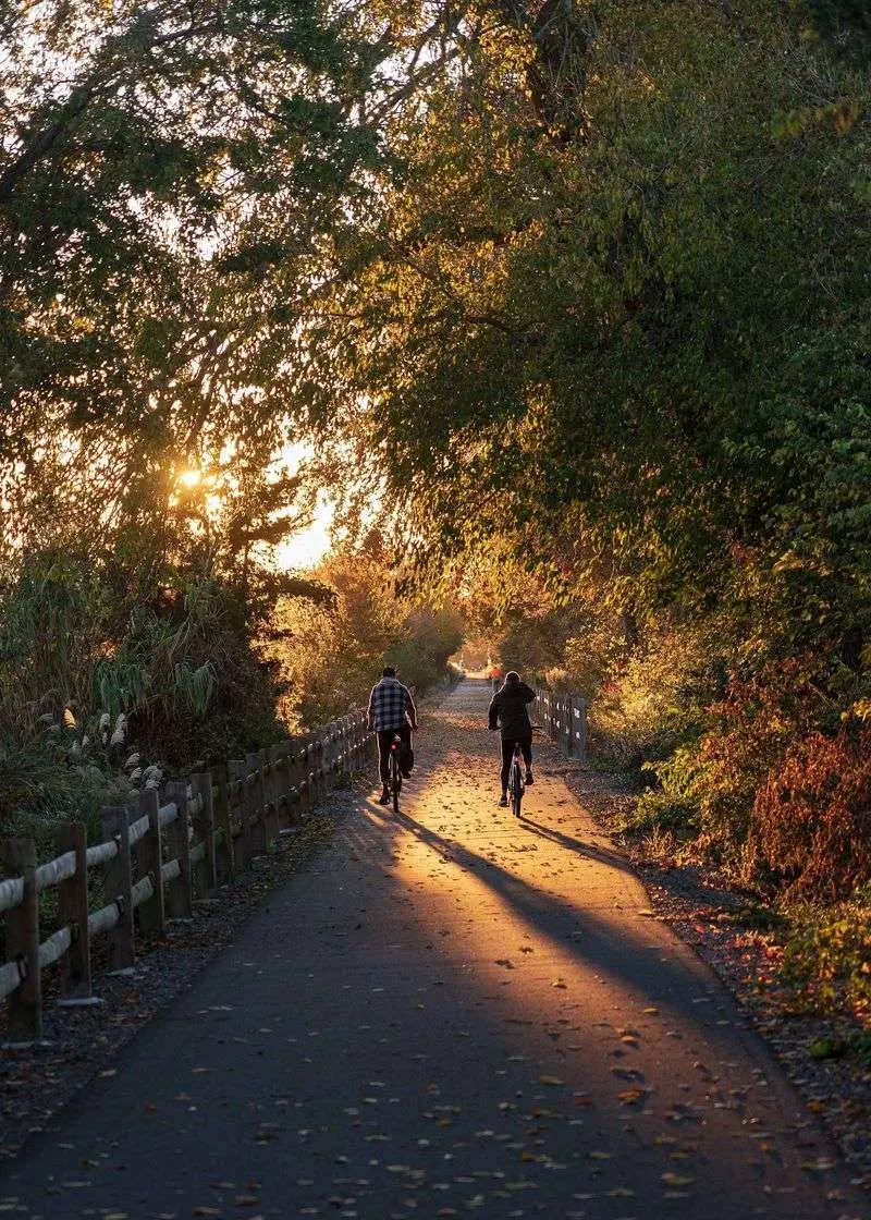 Lewes-Georgetown Trail