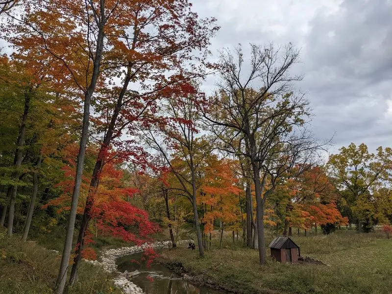 Petrifying Springs Park - Kenosha