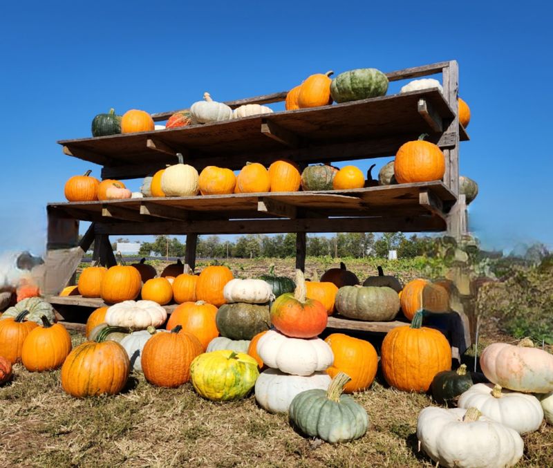 Seasonal Festivals Keep Every Visit Different