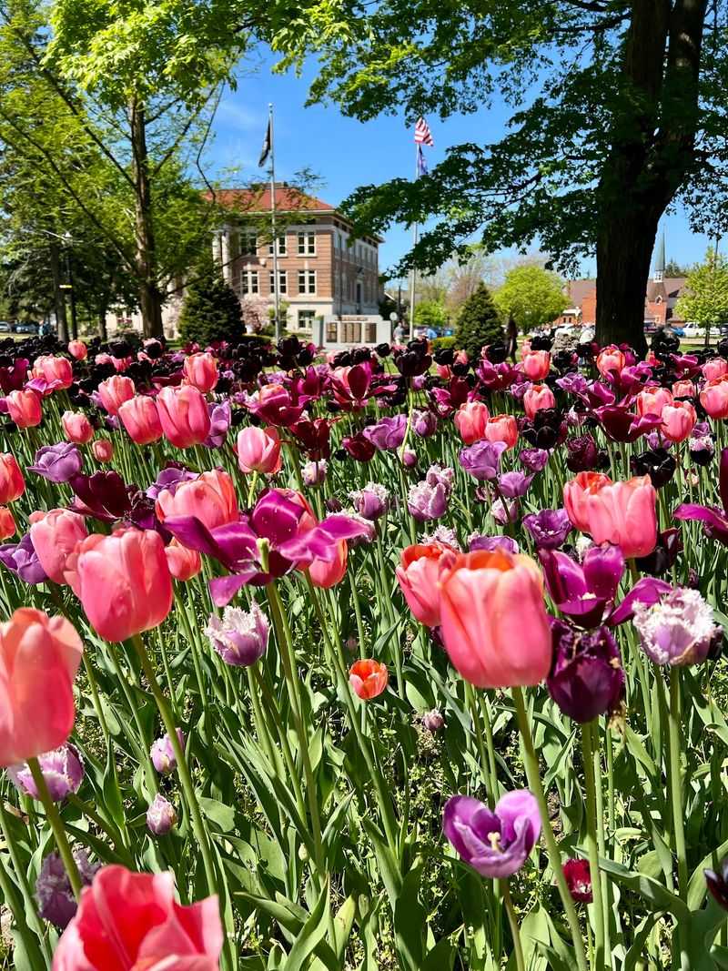 Holland