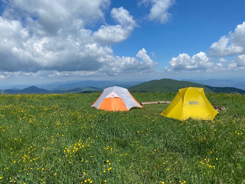 Max Patch, Hot Springs, Haywood County