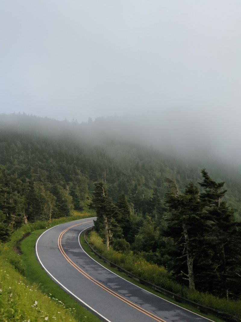 Mount Mitchell State Park, Burnsville, Yancey County
