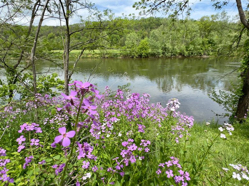 Shenandoah River State Park