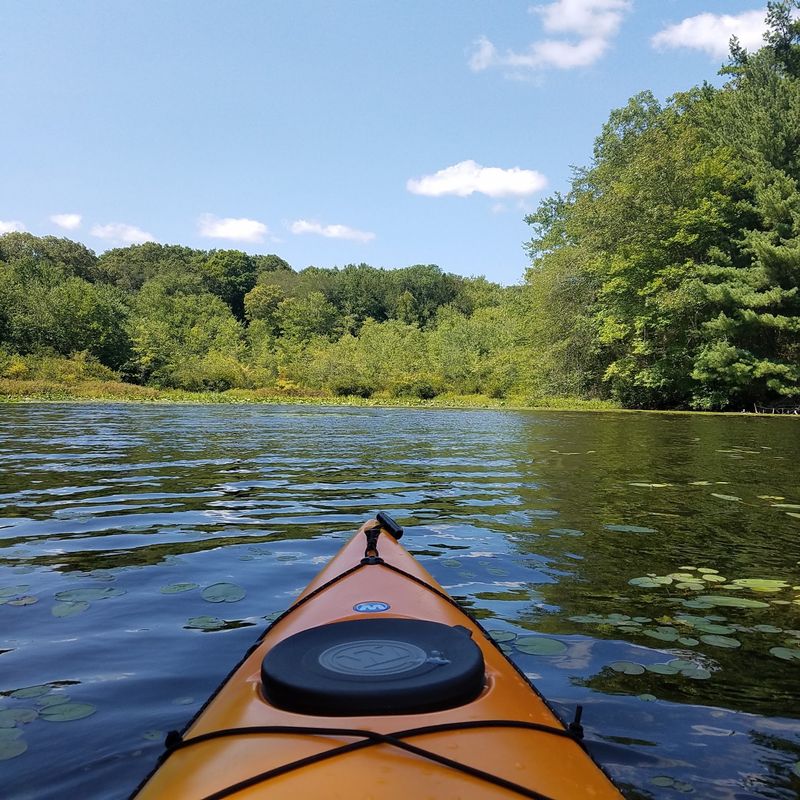 Rogers Lake Freshwater Escape