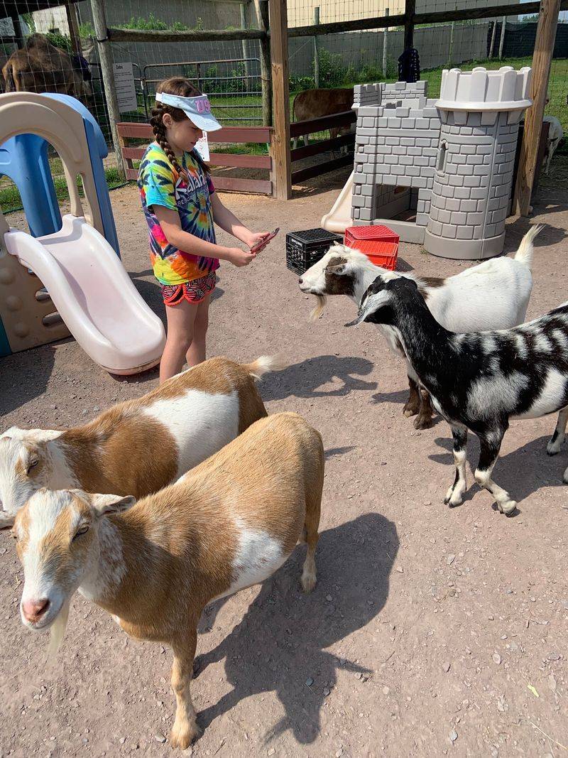 Safari Farm Petting Zoo & Sanctuary