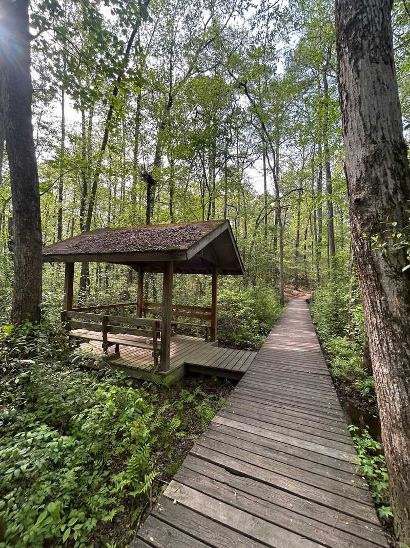 Weymouth Woods-Sandhills Nature Preserve (Southern Pines)