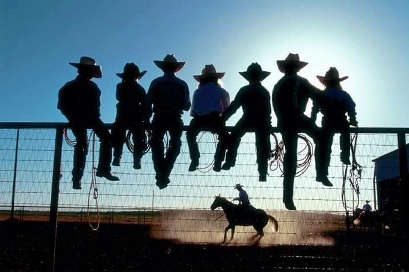 Colorado County Fair and Rodeo in Columbus