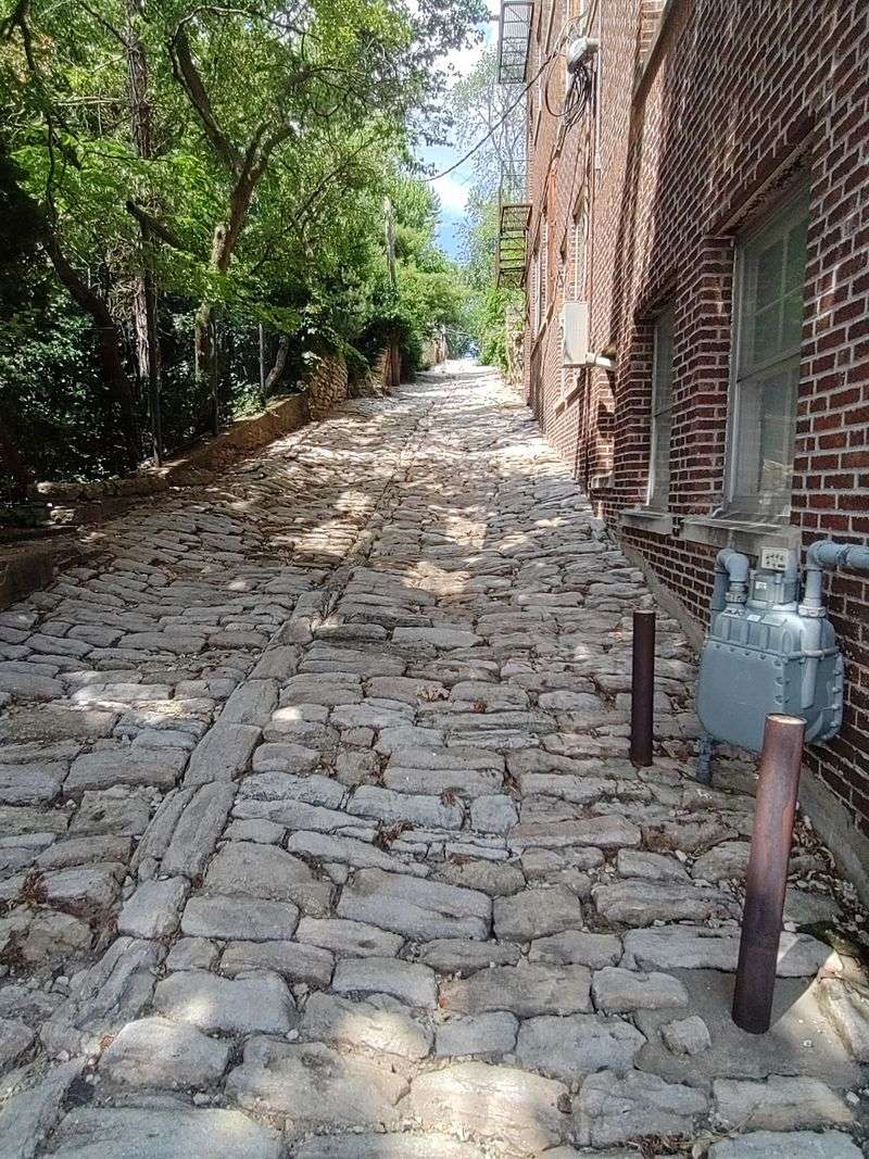 Snake Alley, Burlington, Des Moines County