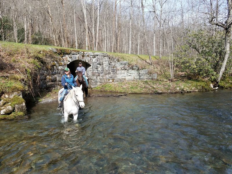 Creek Crossings With Big Vacation Energy