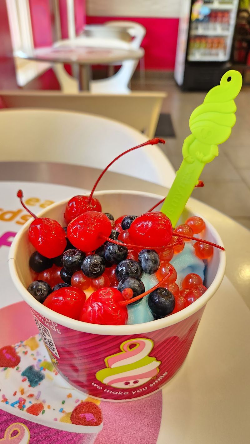 Menchie's Frozen Yogurt, Tampa, Hillsborough County