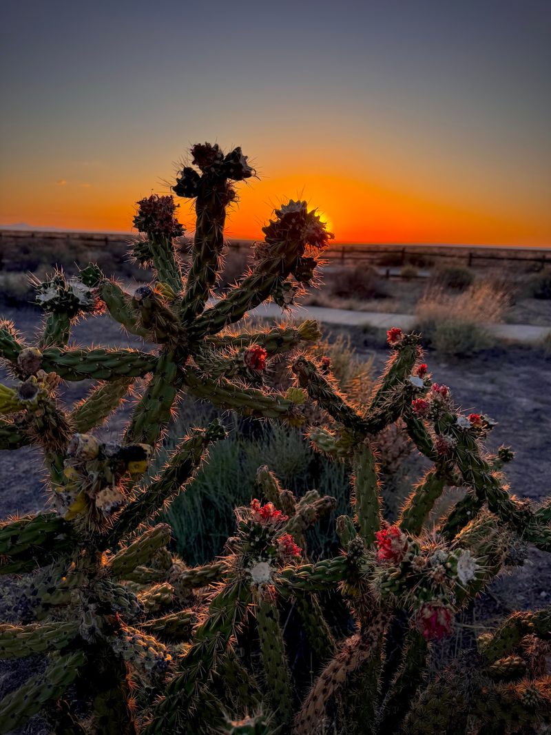 Guadalupe Mountains, Salt Flat, Culberson County