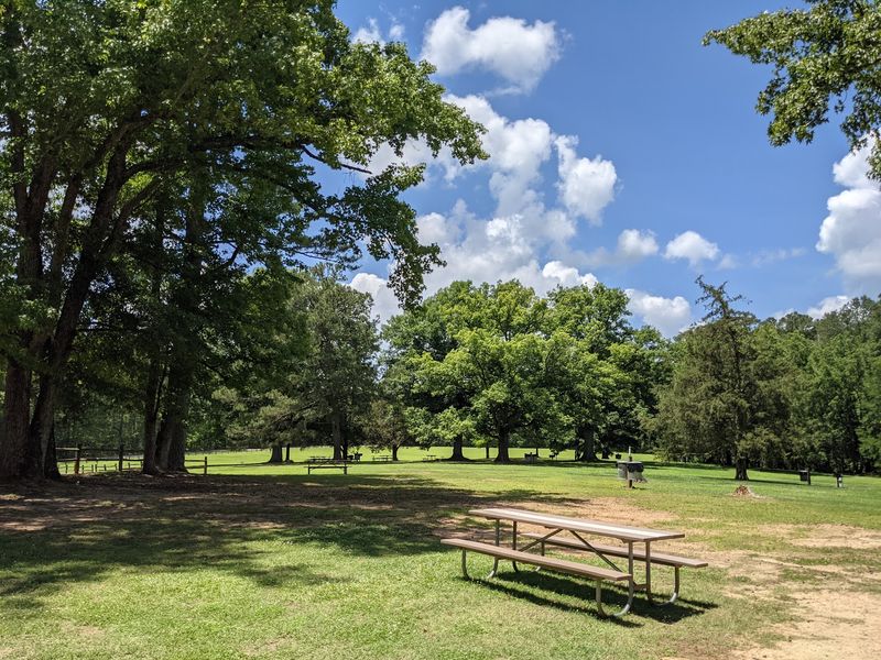 Medoc Mountain State Park - Hollister, Halifax County