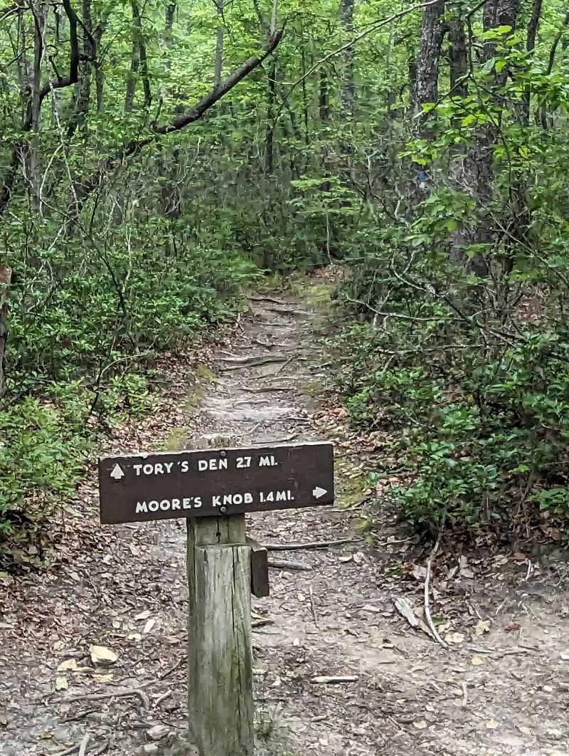 Moore's Wall Loop Trail