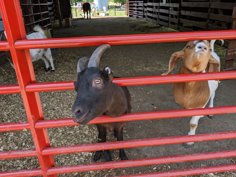 Iowa Farm Sanctuary – Oxford