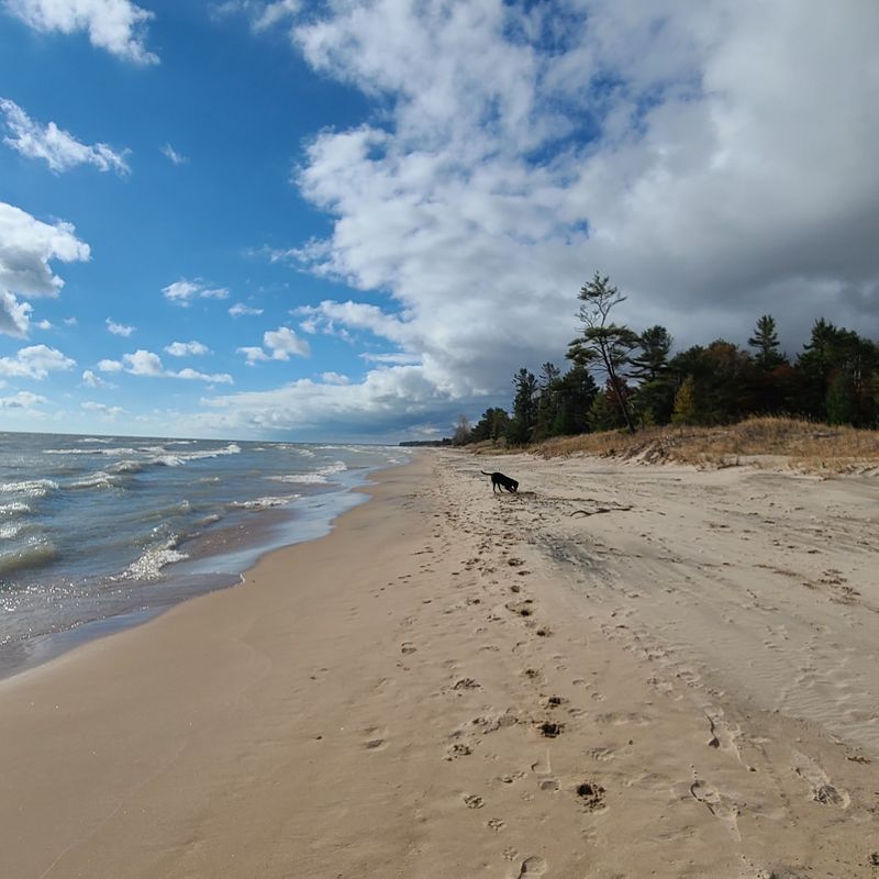 Kohler-Andrae State Park - Sheboygan