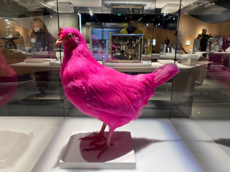 MIT Museum